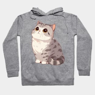 Cute British Shorthair Cat Hoodie